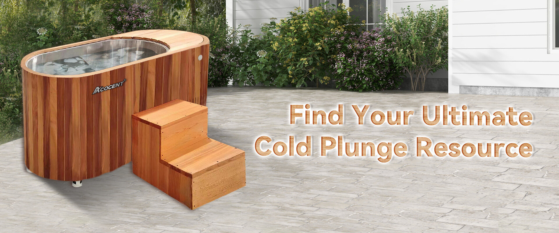 Cold Plunge